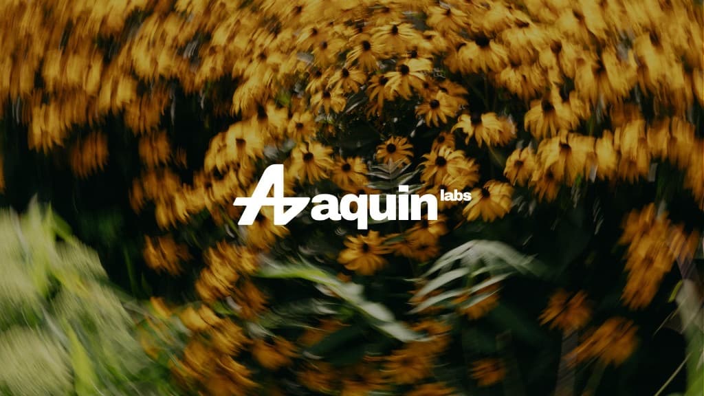 Aquin Labs